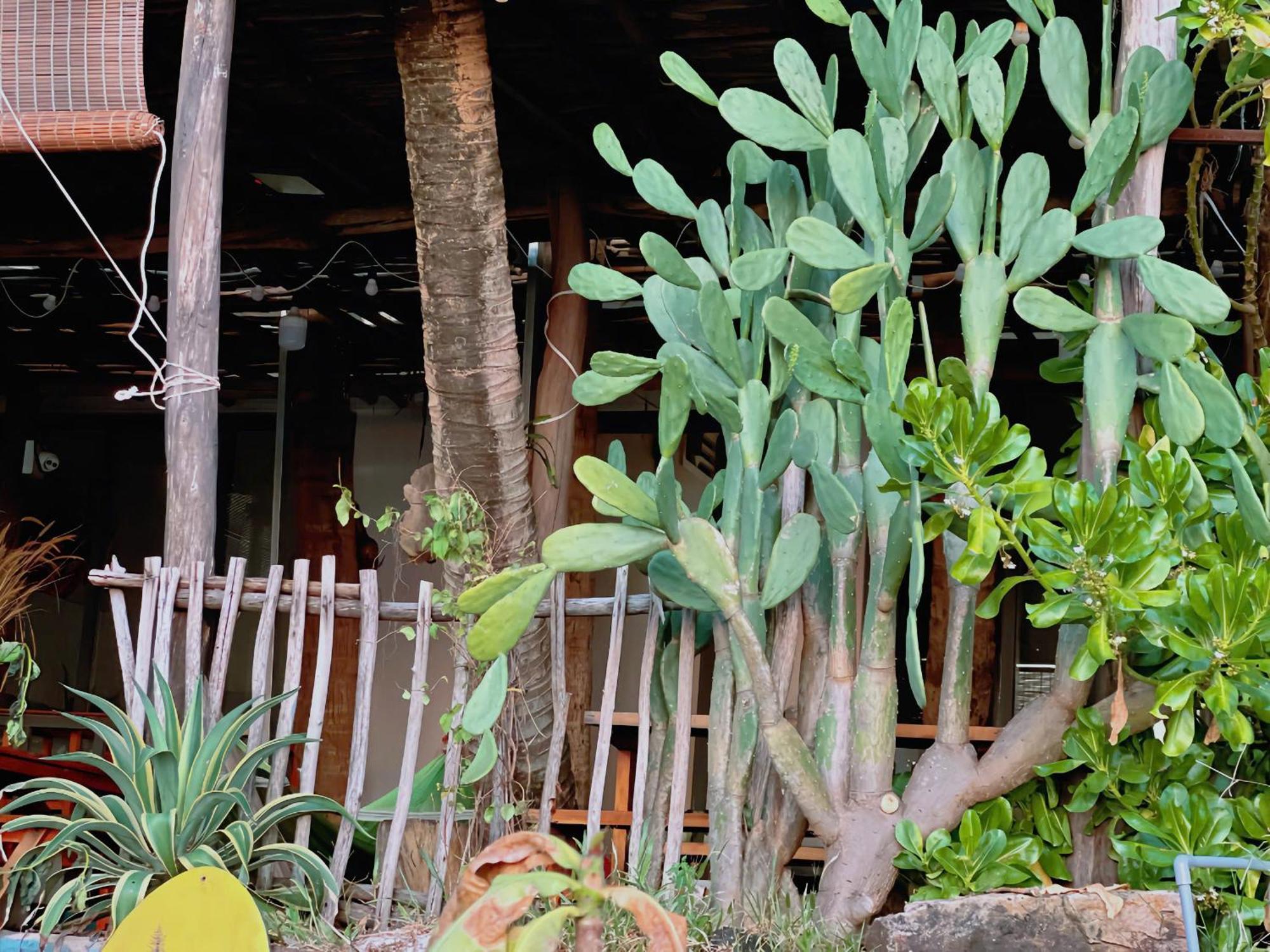 Soho 1 Phu Quoc 아파트 외부 사진